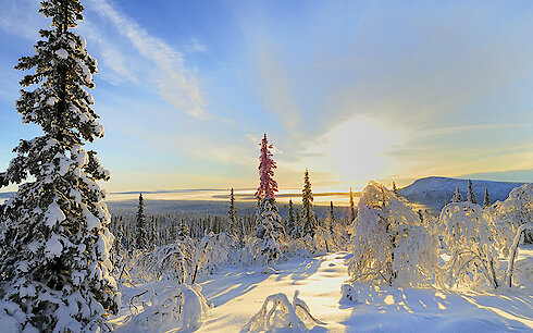 Bayerischer Wald Winterlandschaft