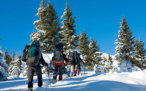 Bayerischer Wald Winterwanderung